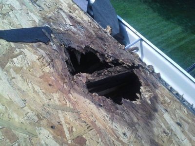 Storm Damage Repairs